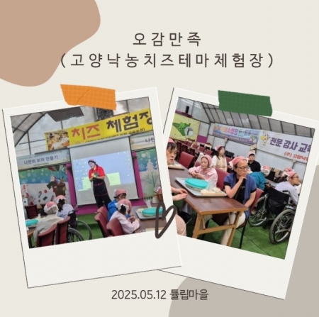 튤립마을 오감만족 (고양낙농치즈테마체험장)