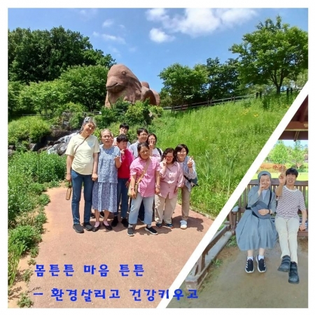 코스모스 운정호수(몸튼튼 마음튼튼 - 환경살리고 건강키우고)
